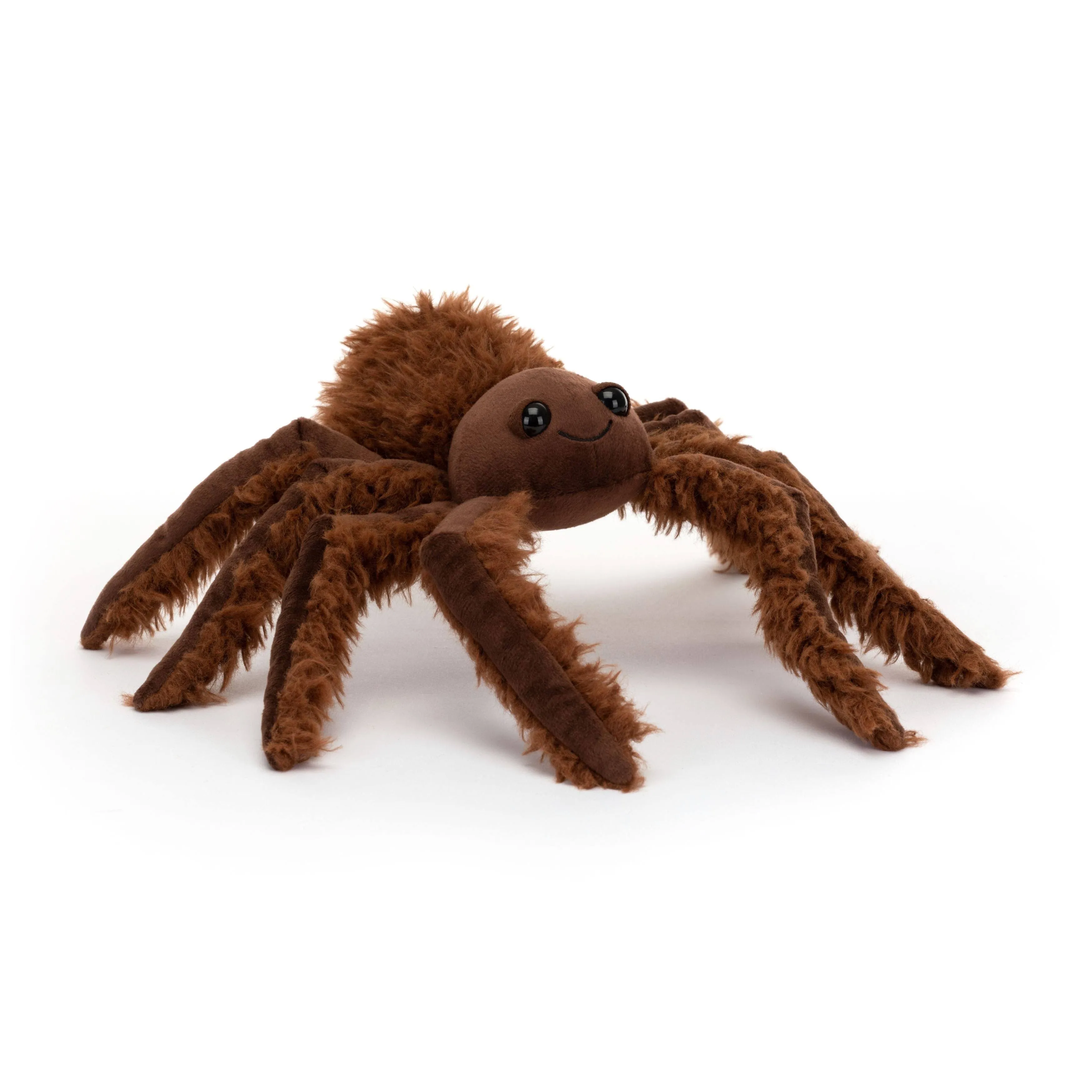 Spindleshanks Spider